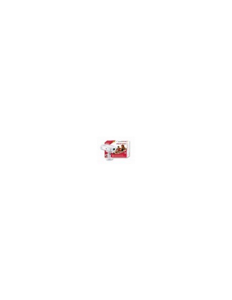 INTERNET CAMERA 6 LED DAY/NIGHT ALLARME MAIL