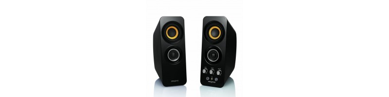 Speaker